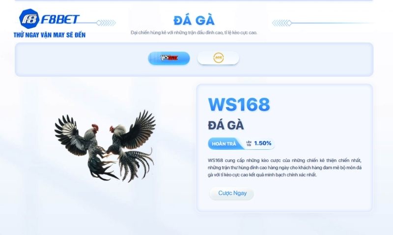 Những loại hình cá cược đá gà được ưa chuộng trên F8BET Những loại hình cá cược đá gà được ưa chuộng trên F8BET